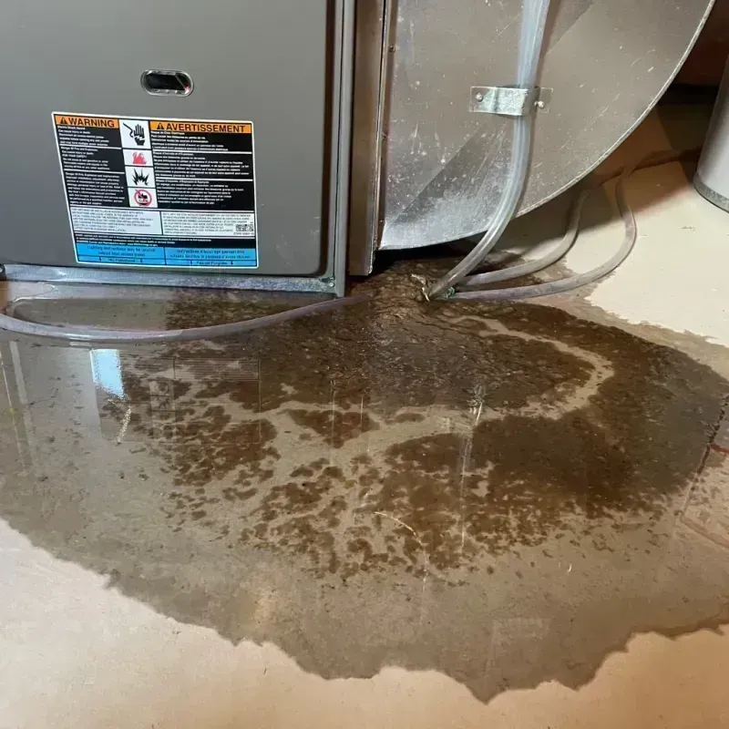 Appliance Leak Cleanup in Madison County, MO